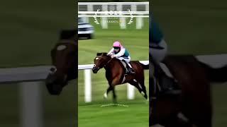 FRANKEL (2011) St James's Palace Stakes Who wins the big race tomorrow for 2025?
