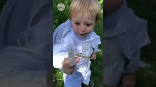 Four-year-old bee keeper #shorts