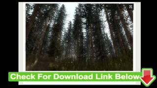 Download 3D Pine Tree For FREE