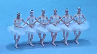 Swan Lake - Dance of the Six Little Swans.