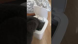Умное ведро Сяоми
