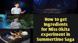 how to Get Ingredients/Items for Miss Okita experiment in Summertime saga game