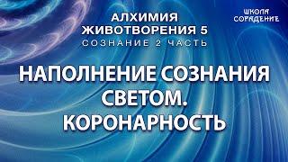 Наполнение сознания светом Коронарность #Гарат #АЖ5  #Сознание #ЖивыеСеминары #школаСорадение