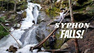 MUST SEE WATERFALL and look out, Syphon Falls - Salmon Arm | BC | Canada