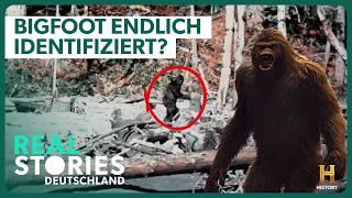 Bigfoot: Das größte ungelöste Rätsel der Welt - Endlich gelüftet? | Real Stories Deutschland