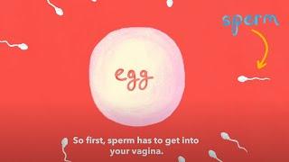 How long does it take to get pregnant after sex? | Planned Parenthood Video