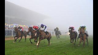 REPLAY: Live Irish racing on St Stephen's Day from Leopardstown, Limerick and Down Royal