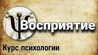 2.1 Восприятие (функции психики | курс психологии)