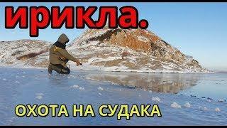 ИРИКЛА  Охота на судака