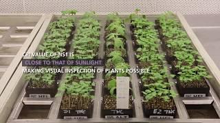 Valoya LED Grow Lights at Bayer