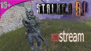 dayz  S.T.A.L.K.E.R RP  ZONE 420