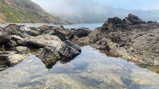 Bluff Cove Hiking Trail Palos Verdes California