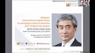 Hyun Song Shin on capital flows to emerging market economies and “Original Sin Redux”