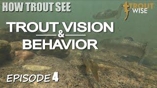 How Trout See - Trout Vision & Behavior