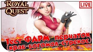 Royal Quest СТРИМ: Тест ФАРМ перчаток (краб-богомол-стрекоскоп) (20:00мск)