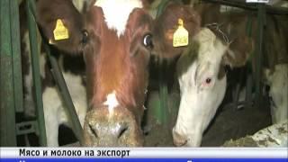 Фермеры Восточного Казахстана наращивают объемы производства мяса и молока