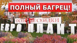 Растения с яркой осенней окраской. Главная распродажа сезона!