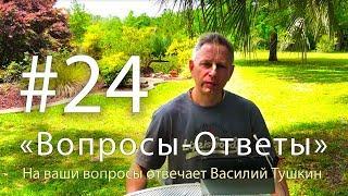 "Вопросы-Ответы", Выпуск #24 - Василий Тушкин отвечает на ваши вопросы