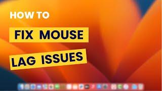 How To Fix Mouse Lag and Stuttering Issue on Mac Os