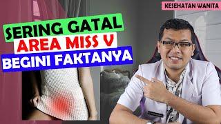 GATAL AREA MISS V VAGINA - DOKTER SADDAM ISMAIL