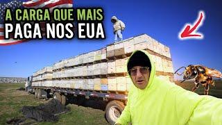 ESSA CARGA É A QUE PAGA MAIS HOJE NOS EUA 