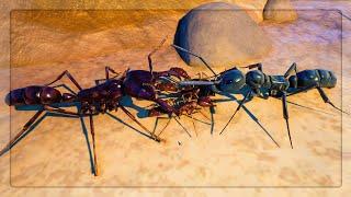 Using Driver Ants VS Matabele Ants in Empires Of The Undergrowth