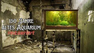 Incredible restoration: 150-year-old aquarium comes back to life!