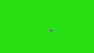  Футаж Голубь на хромакей(Footage Of Pigeon)