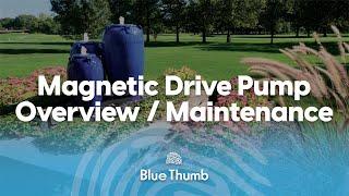 Magnetic Drive Pumps - Product Overview & Maintenance