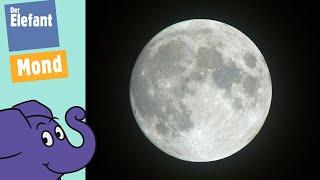 Der Mond - Warum ist er manchmal als Halbmond oder als Vollmond zu sehen? | Der Elefant | WDR