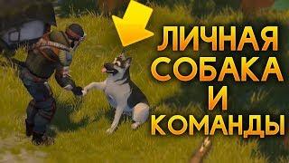 ЛИЧНАЯ СОБАКА С КОМАНДАМИ?! ПСА МОЖНО ПРИРУЧИТЬ?! - Last Day on Earth: Survival