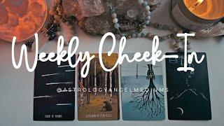 Weekly Check-In Reading for May 4th through 10th, 2025