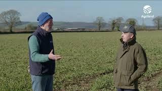 James Kelly, chair of the Irish Grain Growers Group (IGGG)