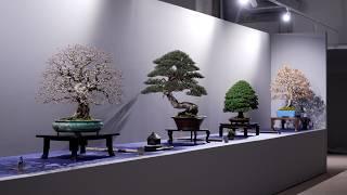 UBE Bonsai Exhibition 2025