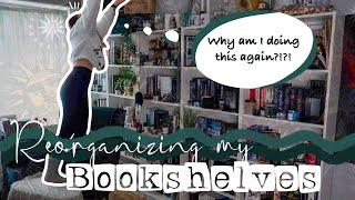 Bookshelf Reorganization | What a mess it was | the wild Sasha