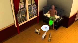 Mourning the death of Razzy the Lizard - Sims 3