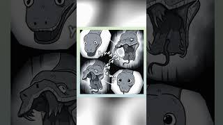 Snake | Pet floorey comic dub Ep 11