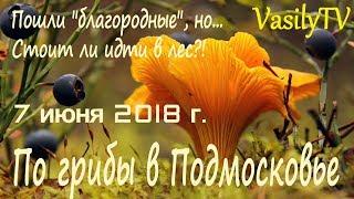 По грибы в Подмосковье 7 июня 2018 гПошли благородные, но… Стоит ли идти в лес?!