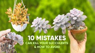 10 Mistakes Can Kill Your Succulent & How to Avoid 多肉植物 | 다육이들 | Suculentas