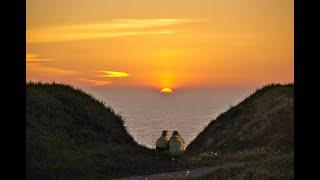 „Your love shines in my heart“: Morricone Enrico: * Once Upon a Time in the West