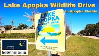 Lake Apopka Wildlife Drive in Apopka FL