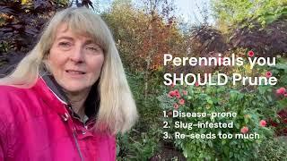 How to Cut Down Perennials for Winter