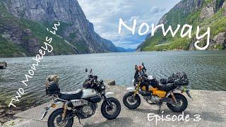 Two Monkeys in the Norwegian mountains! Ep 3