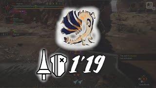 MHR Sunbreak - Barroth Lance Solo [1'19"60]