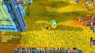 WoW 85 Priest PVP (Shadow)