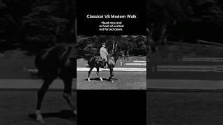 A walk can say a lot. #dressage #classicaldressage #moderndressage