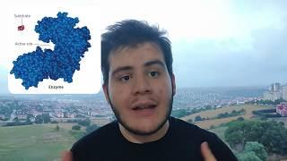 Breakthrough Junior Challenge 2020 Ramazan Ege SOLAK "Quantum Biology"