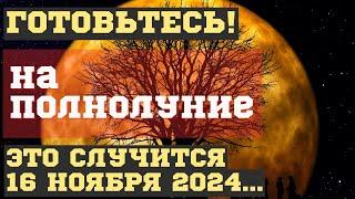 ЧТО СЛУЧИТСЯ на ПОЛНОЛУНИЕ 16 ноября 2024, во время ОПАСНОЙ ДАТЫ. ЧЕМ ЧРЕВАТО для ВСЕХ