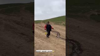 Да Кишлок Занчабилбро хастай #ozodivideo #dushanbe #tajikistan #душанбе #таджикистан #reels