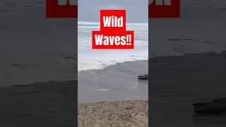 Woman In A Huge Waves on the Beach!  #worldnewads #wild #waves #wavestorm